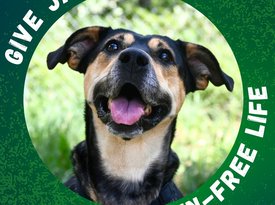 Jade Fundraiser - FB Social