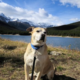 Benito