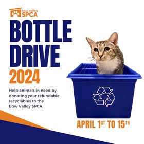 2024 Bottle Drive - Social Media