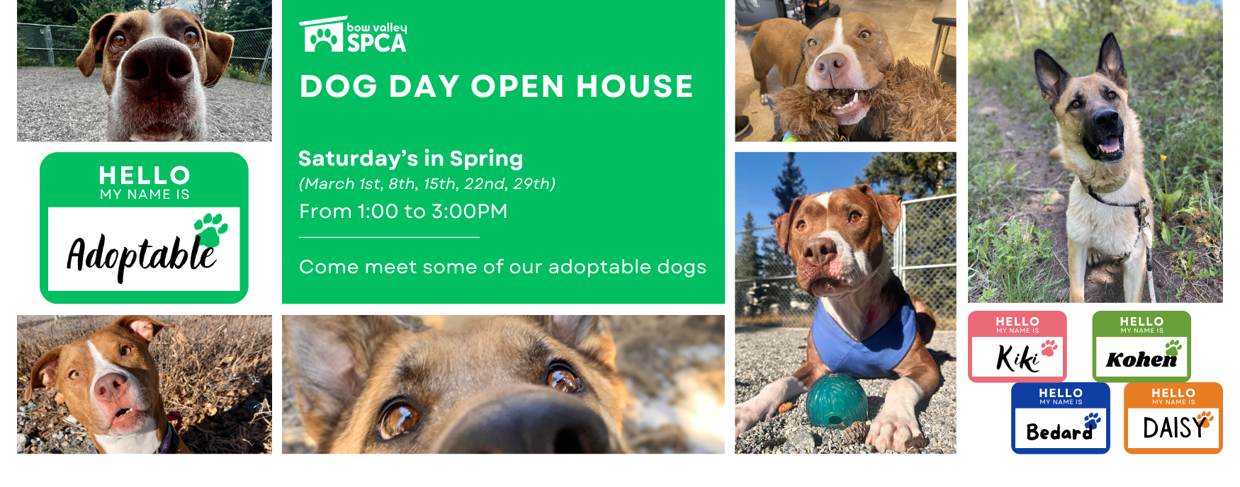 2024 Dog Day Open House