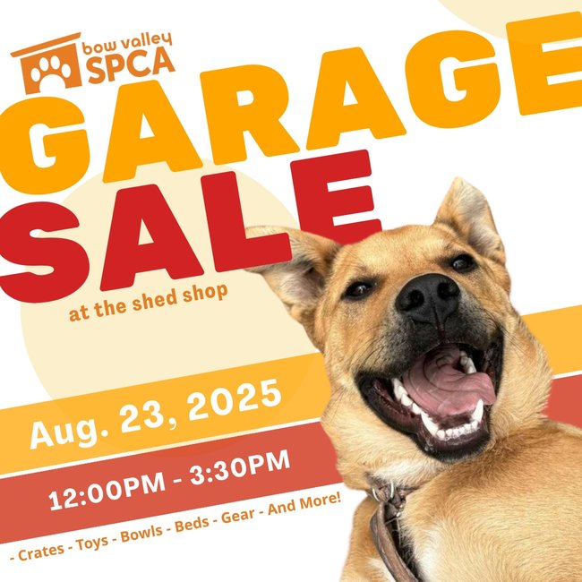 2024 Garage Sale - Aug (1)