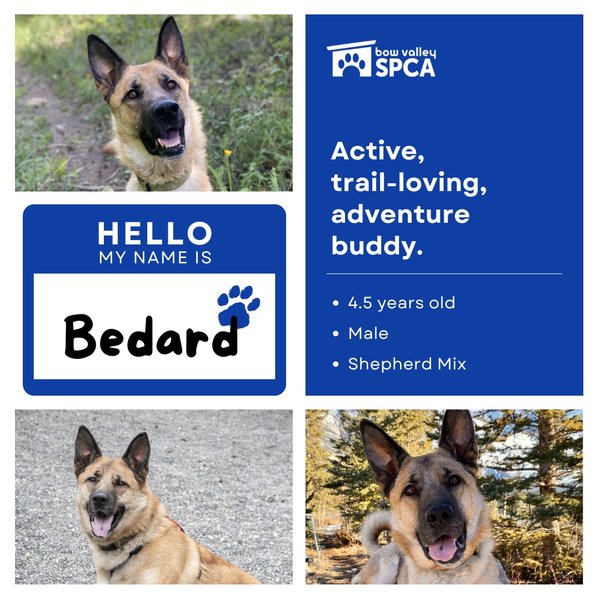 2024 Open House - Bedard