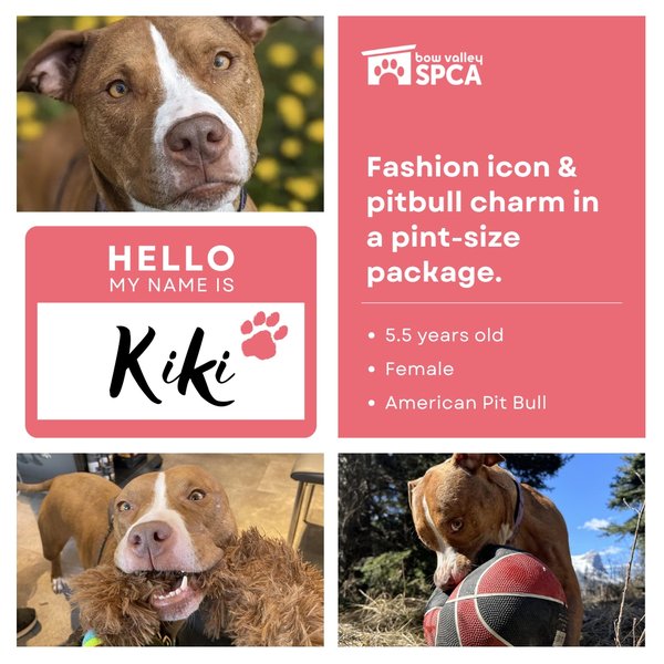 2024 Open House - Kiki