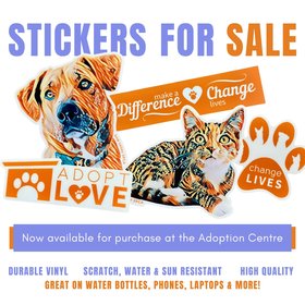 2024 Sticker Sale - Social Media