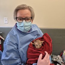 Deborah Headshot - 1