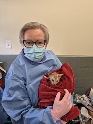 Deborah Headshot - 1