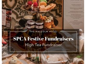 2025 - High Tea - The Malcolm (1)