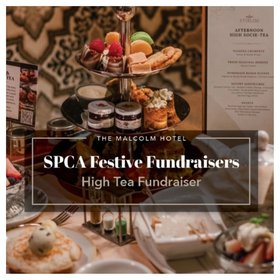 2025 - High Tea - The Malcolm (1)