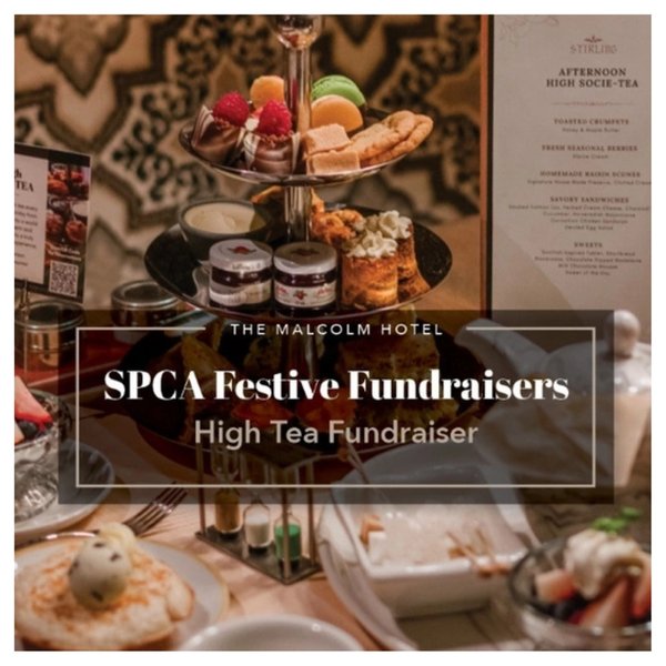 2025 - High Tea - The Malcolm (1)