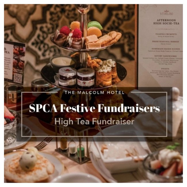 2025 - High Tea - The Malcolm (1)