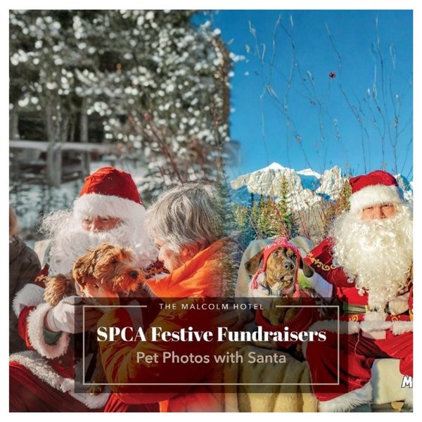 2025 - Photos with Santa - The Malcolm