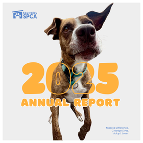 2025 Annual Report (1080 x 1080 px)