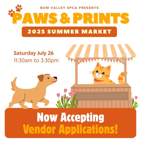 2025 Summer Market - Social Media