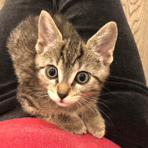 310296228_2204992336329432_8478186778818729851_n