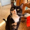 Ethel - 4