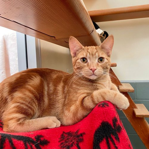 405972825_24391761867105107_4712702067320103107_n (1)