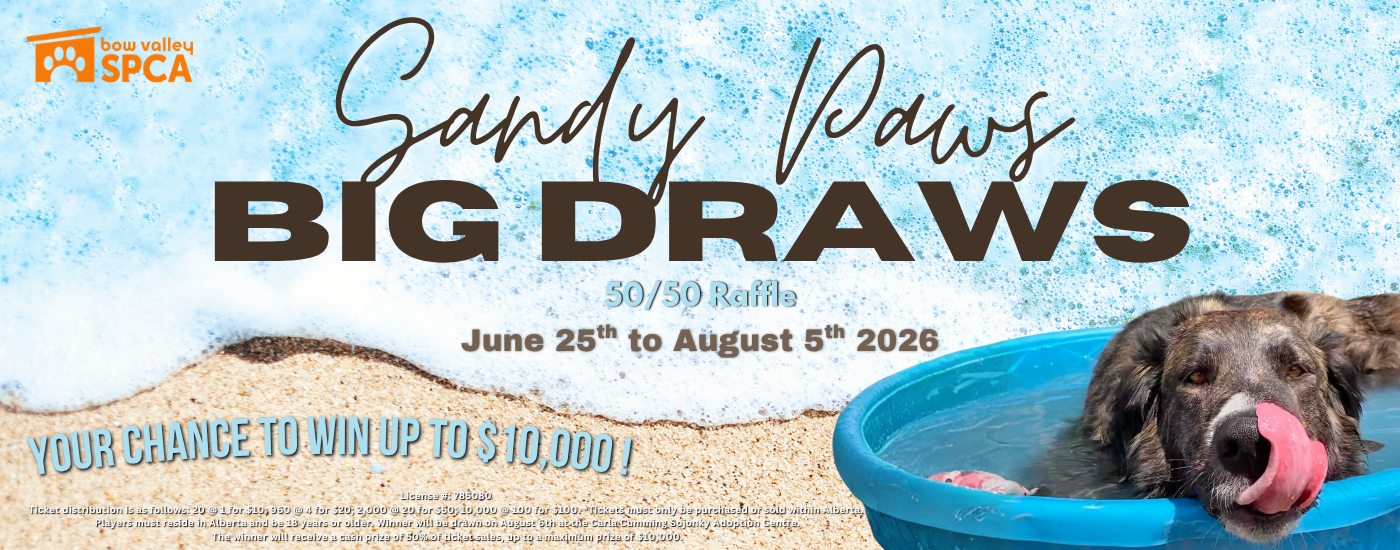 5050 Raffle - Website Banner