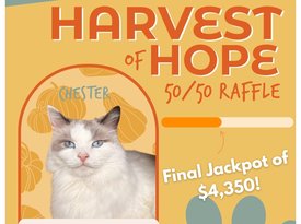 5050 Raffle Social Media