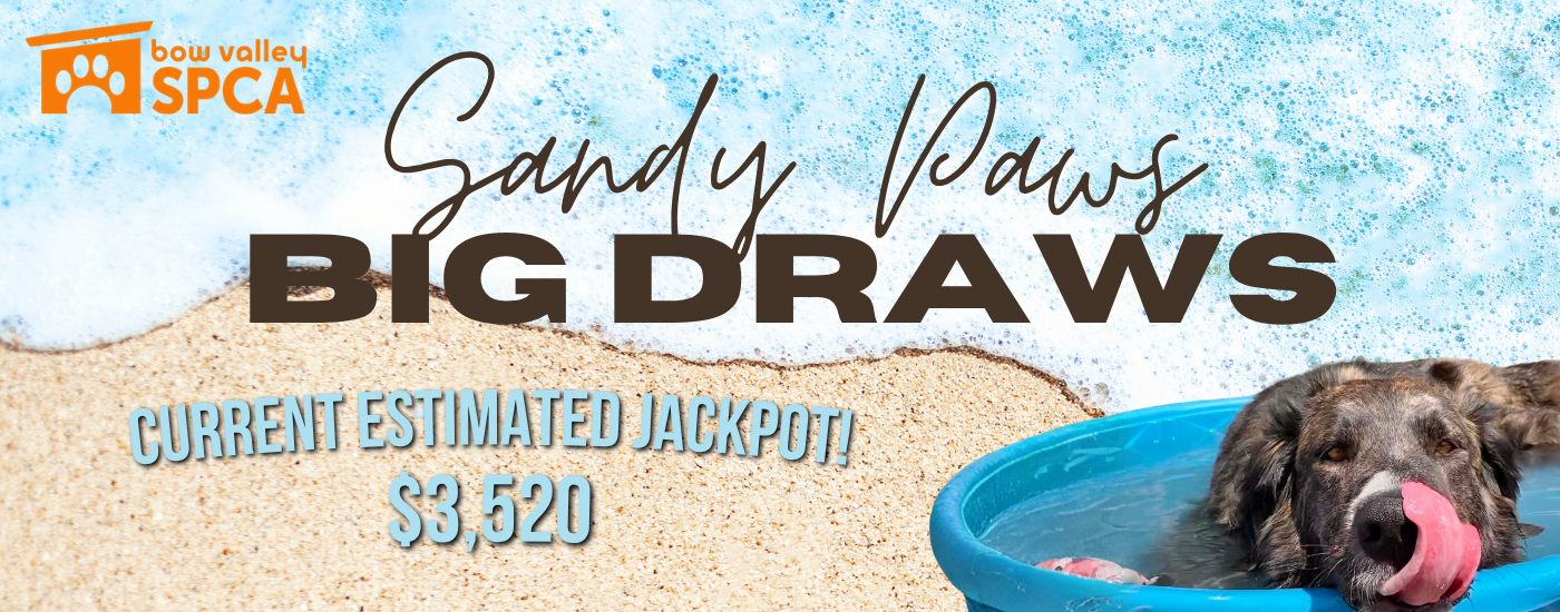 5050 Raffles - Website Banners July 24