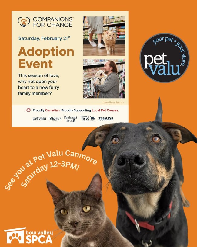 636705945_18519613501076833_4930886054762383897_n