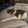 Tilly - 6