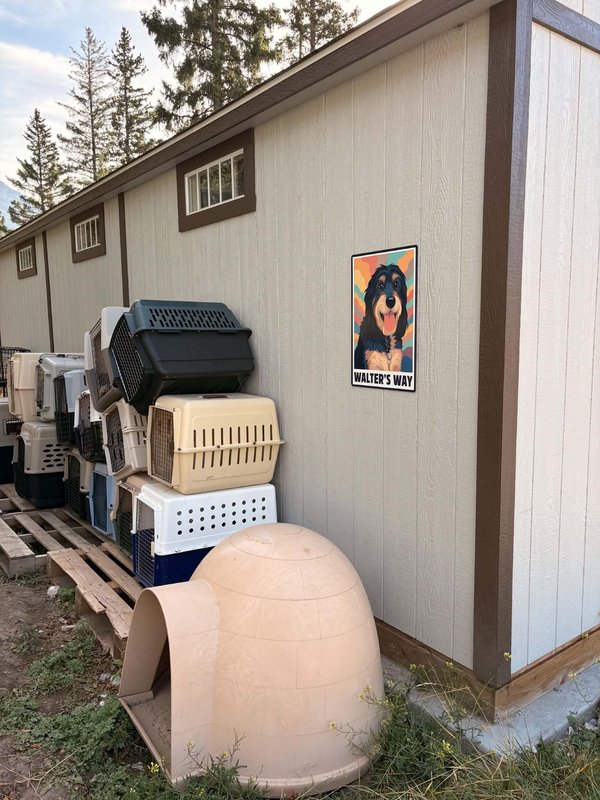 Shed Shop Walters Way