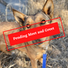 ADOPTION PENDING - 2023-04-21T143342.903