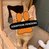 Adoption Pending - 2025-03-29T092643.518