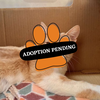 Adoption Pending - 2025-04-04T130744.979