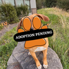 Adoption Pending - 2025-05-29T151752.646