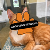 Adoption Pending - 2025-06-18T141002.056