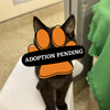 Adoption Pending - 2025-09-27T142547.332