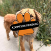 Adoption Pending - 2025-11-13T152934.980
