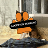 Adoption Pending (24)