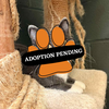 Adoption Pending (26)