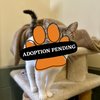 Adoption Pending (2)
