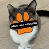 Adoption Pending (39)