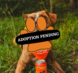 Adoption Pending (50)