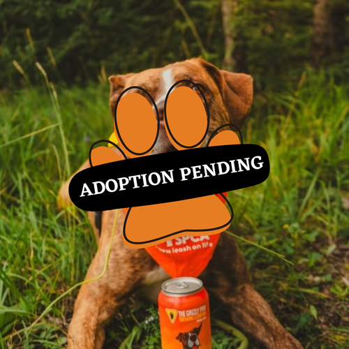 Adoption Pending (50)