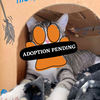 Adoption Pending (93)