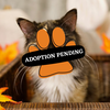 Adoption Pending sassy