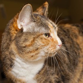 AmberIMG_5272_DxO.jpg