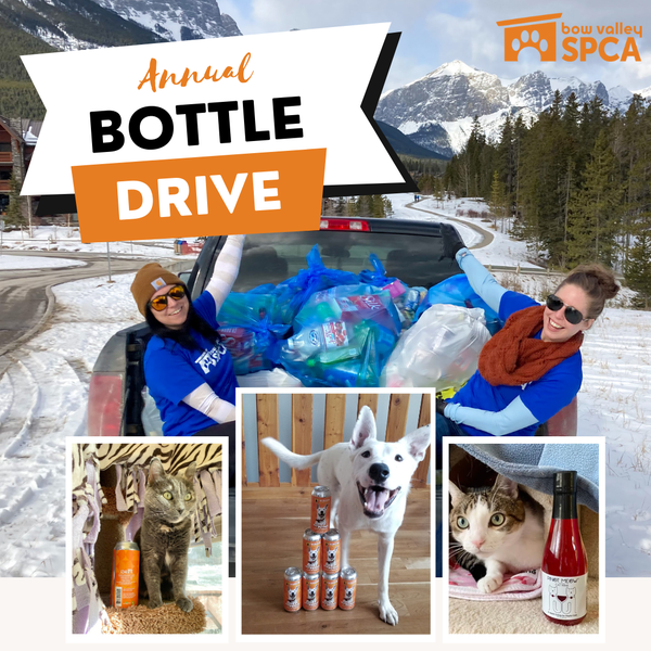 Annual Bottle Drive SM (1)