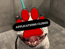 Applications Closed - Remi