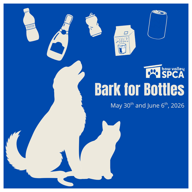 BVSPCA Bottle Drives square (1080 x 1080 px)