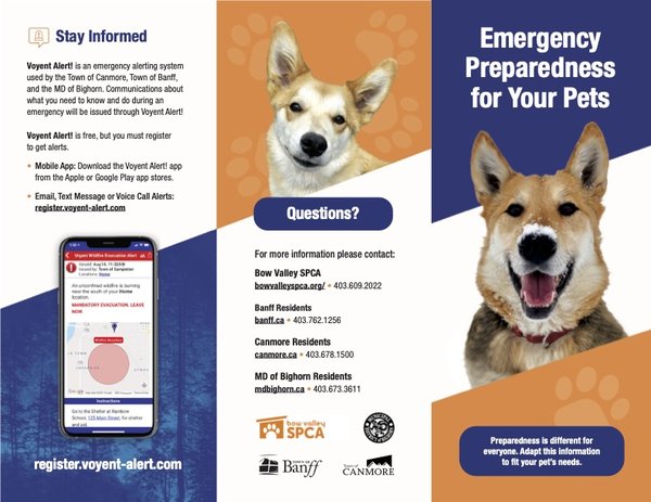 BVSPCA EPW Brochure