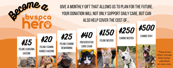 BVSPCA Website Banner - BVSPCA Hero 4