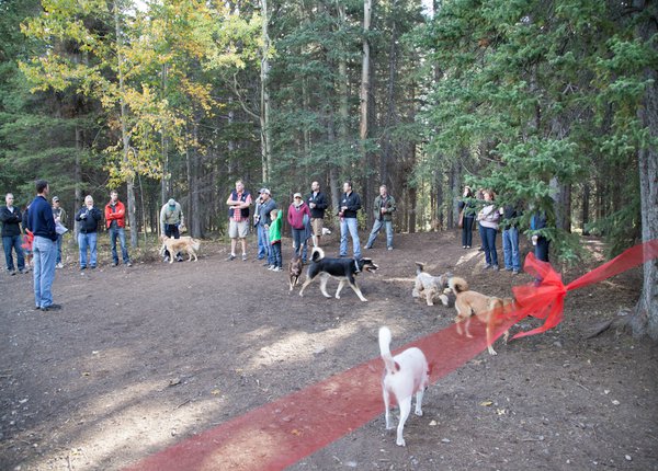 Banff Dog ParkIMG_3333.jpg