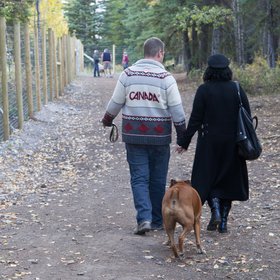 Banff Dog ParkIMG_3382.jpg