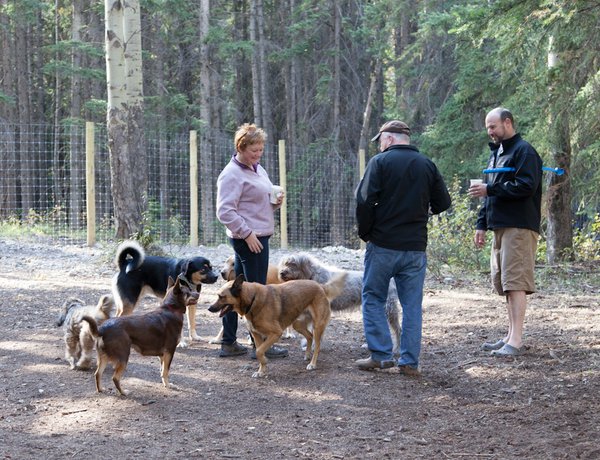 Banff Dog ParkIMG_3419.jpg